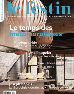 Couverture numéro 133 revue Le Festin, Le temps des métamorphoses