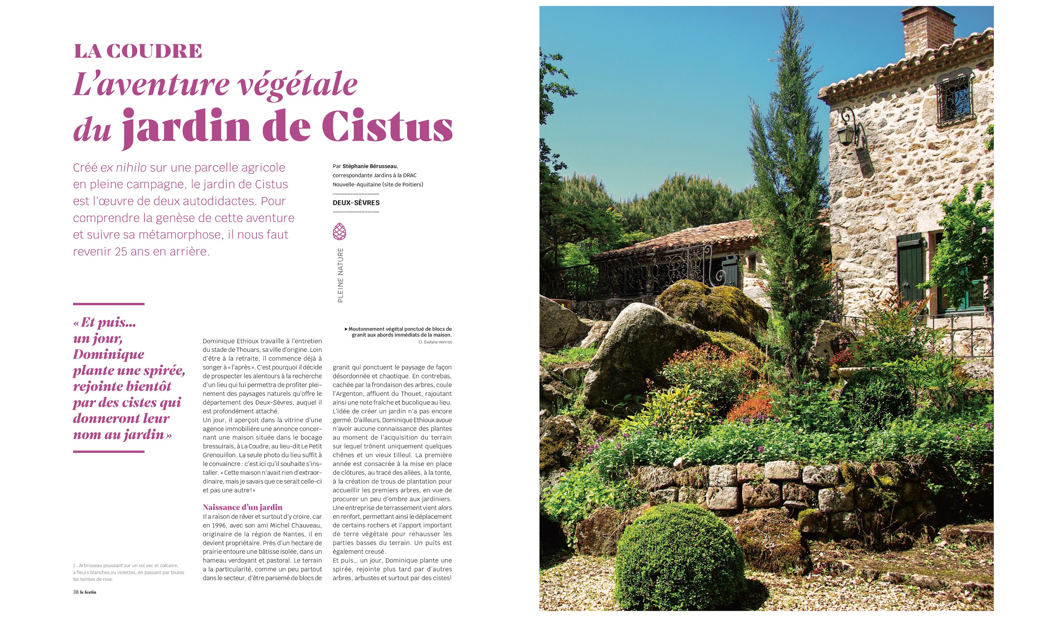 Cistus - Festin #119