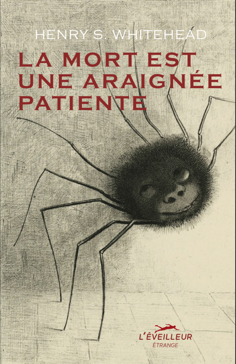 la mort est une araignée patiente